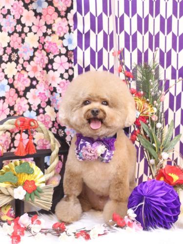 20250117ピノくん